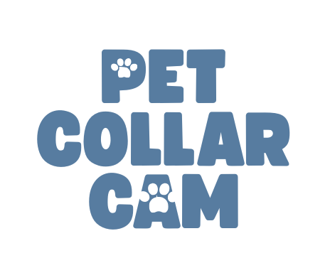 Pet Collar Cam